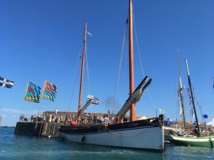 IMG_3951